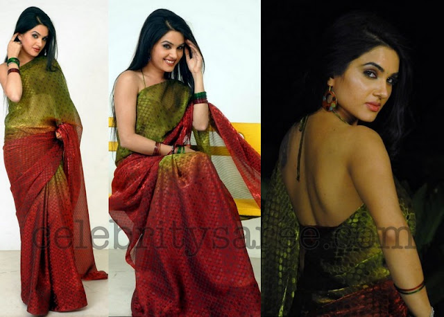 Kavya Singh Sarees Collection