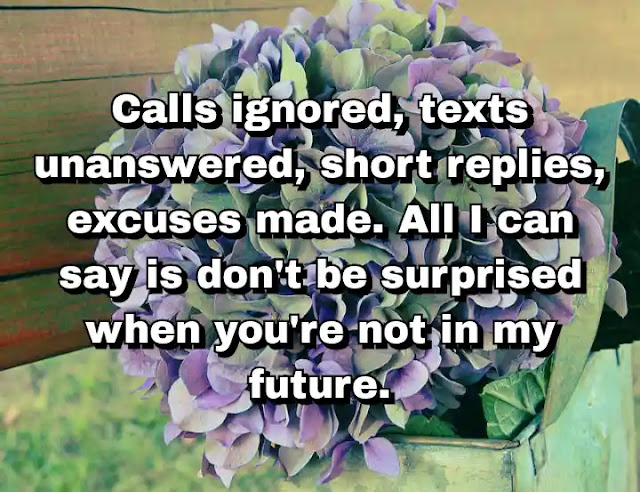 "Calls ignored, texts unanswered, short replies, excuses made. All I can say is don't be surprised when you're not in my future." ~ Behdad Sami