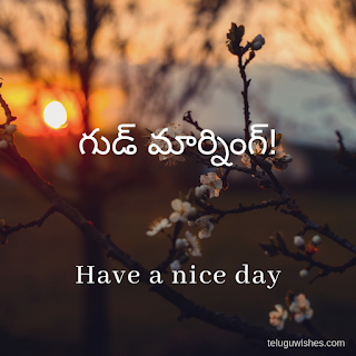 Good Morning Images In Telugu