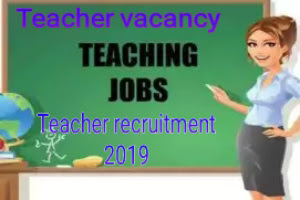TAT teaching job teacher vacancy official notification declared