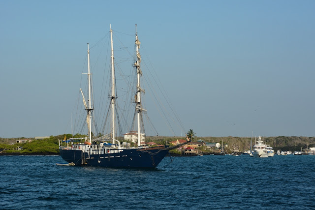 Santa Cruz city Galapagos