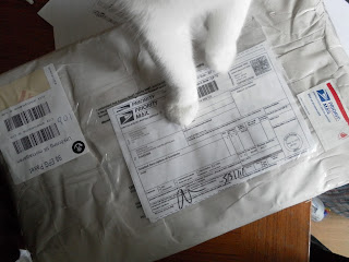 Cat Paws Holds Parcel hostage for attention