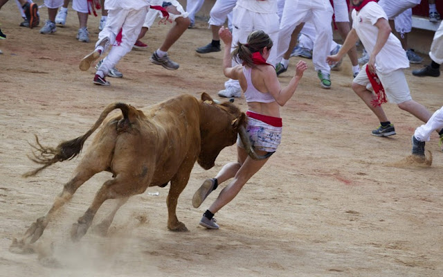 Bull Running