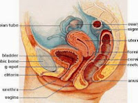 RADANG VAGINA & SOLUSINYA