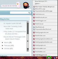 NoScript Firefox pict