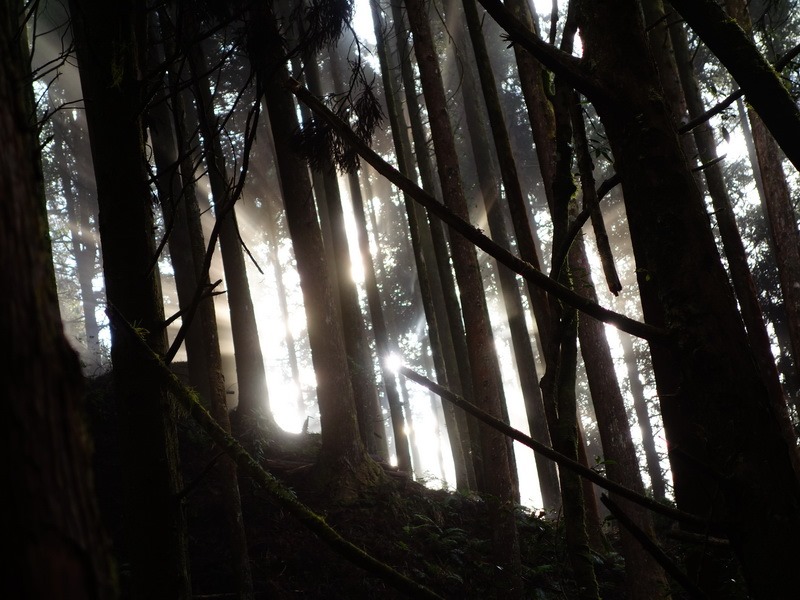 2013_1126-1129 鹿林山-1_240