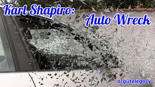 https://argutelegacy.blogspot.com/2018/04/shapiro-auto-wreck.html