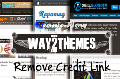 How to Remove Way2themes Credit Link skillblogger tronicflow