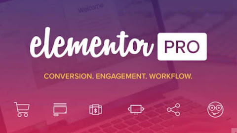 Elementor 3.8.2 Pro + 3.8.2 Free