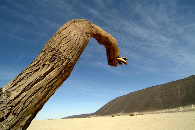 which is the famous trees in world