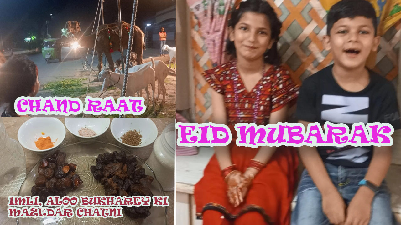 Eid-ul-Adha : Bakra Eid Special Chapli Kabab Recipe