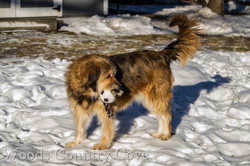 JANUARY 2015 (9 of 49)