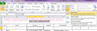 Fungsi Freeze Panes pada Ms Excel 2010 sebagai pembatas bagian header dan left coulomn