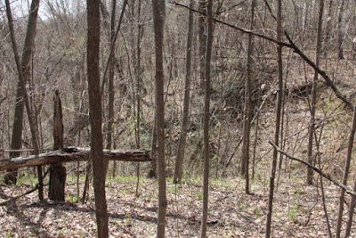 ravines (and gullies) abound in the lower St. Croix watershed