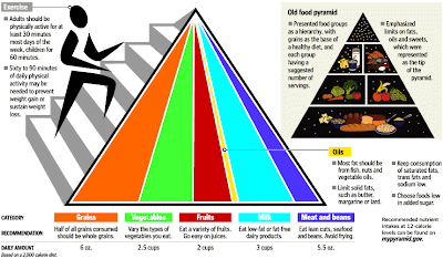 Exercise Guidelines For Older People : Maximum Fat Loss - Zig Zag Calorie Rotaion Method