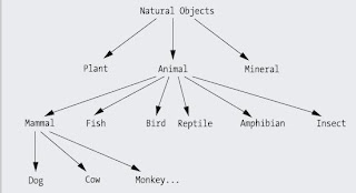 siniflandirma, java, object oriented,nesneye yönelik,java öğren, java geliştir, java tutorial,java ders