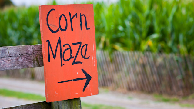 orange and black sign pointing to the corn maze entrance