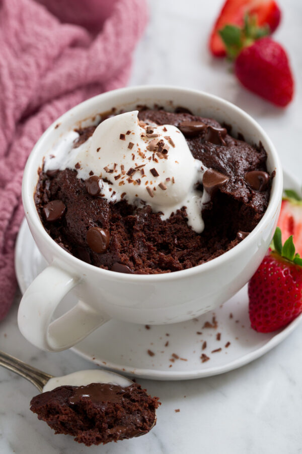Best and Easiest Chocolate Mug Cake Recipe