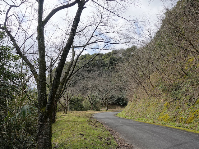 緑水湖湖畔　道路