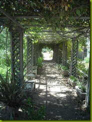DSCN3556