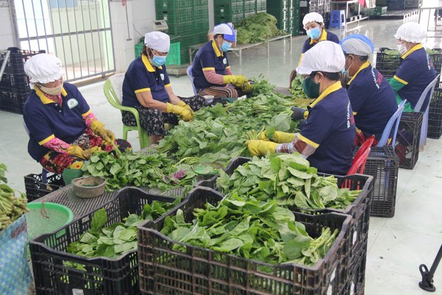 Kiểm soát chất lượng hàng hóa tại siêu thị - Ảnh 1.
