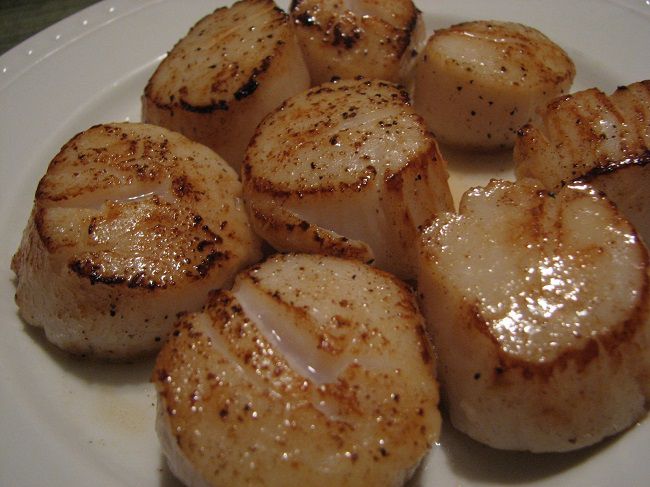 Seared Scallops