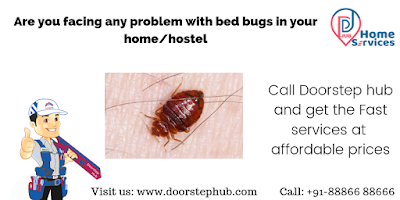 Bed Bugs Control