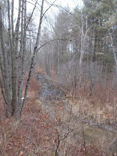 DaCy Meadows Lodging, Adirondaks, hiking trail, Hoisington Brook