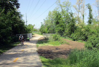 Cedar River Trail