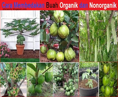 Cara Membedakan Buah Organik dan Nonorganik