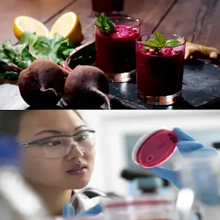 Including the prevention of Alzheimer's 4 health benefits of beet juice that you may not know