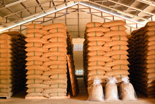 big bags of coffee beans