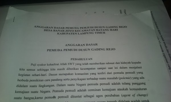 Program Kerja Organisasi Pemuda Pemudi Gading Rejo, Lakukan Perubahan Desa- Lampung Timur