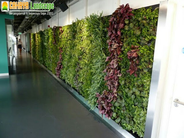 Jasa Pembuatan Taman Vertical Garden/Taman Dinding