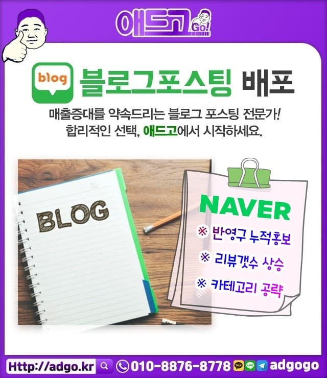 안산단원회색앵무새분양