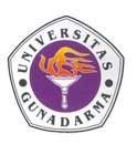 Universitas Gunadarma