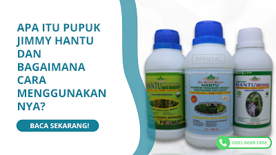 perbedaan pupuk hantu tutup putih dan biru