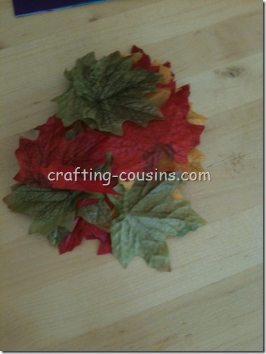 Fall Tree (4)