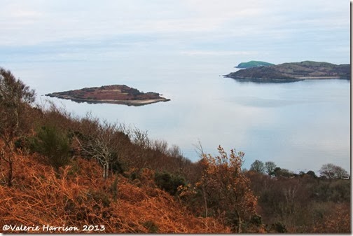 5-islands