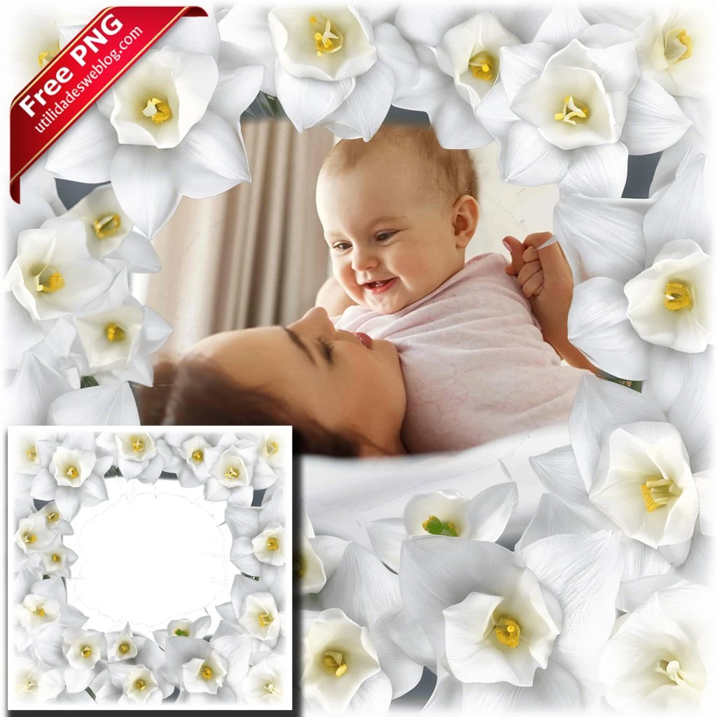 marco para fotos con flores de daffodil o narcisos blancos en png con fondo transparente para descargar gratis