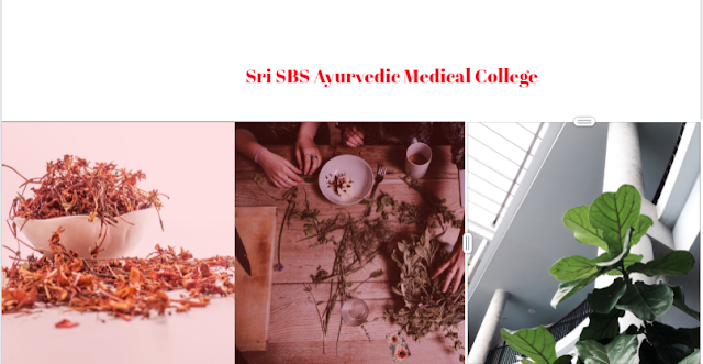 Sri SBS Ayurvedic Medical College