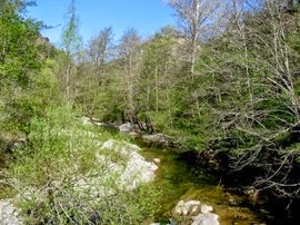 IMG_0211