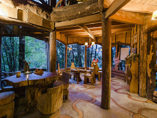 hotel di tengah hutan interiornya terbuat dari kayu asli