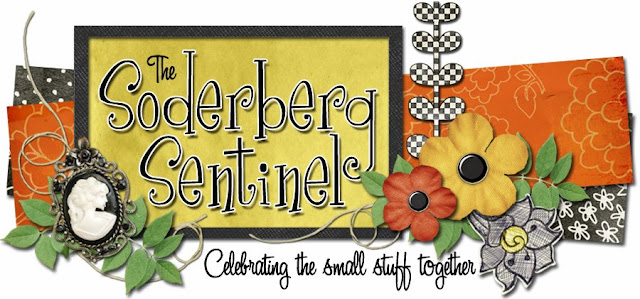 Soderberg Sentinel Blog Design