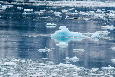 Hubbard Glacier