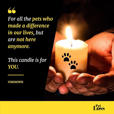 A Candle for Pet Loss