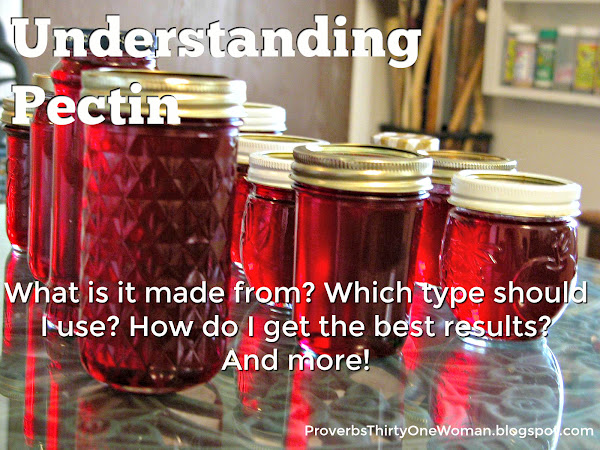 Understanding Pectin