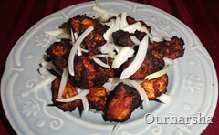 chicken fry (4)
