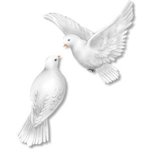 peace doves