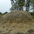 Stack of Hay